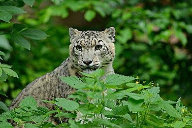 分析称微软独占游戏并不会削减PS5份额