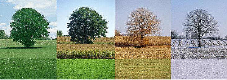 宫崎英高：《艾尔登法环》已是我们项目规模的极限 新作将是小规模作品