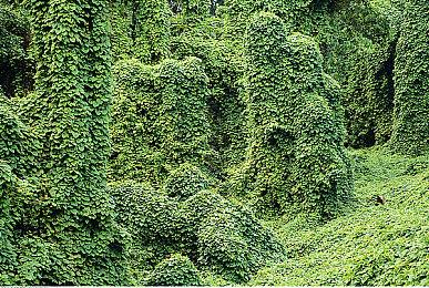 《Witching Stone》PC试玩发布 肉鸽解谜战斗迷宫